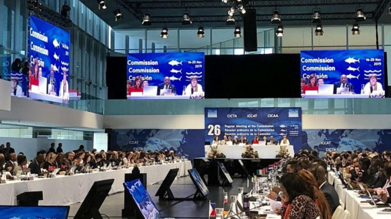 Pivotal progress: ICCAT agrees on a rebuilding plan for overfished bigeye tuna