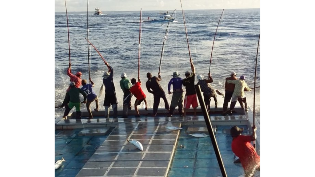A new era of protection and support begins for Maldives’ tuna