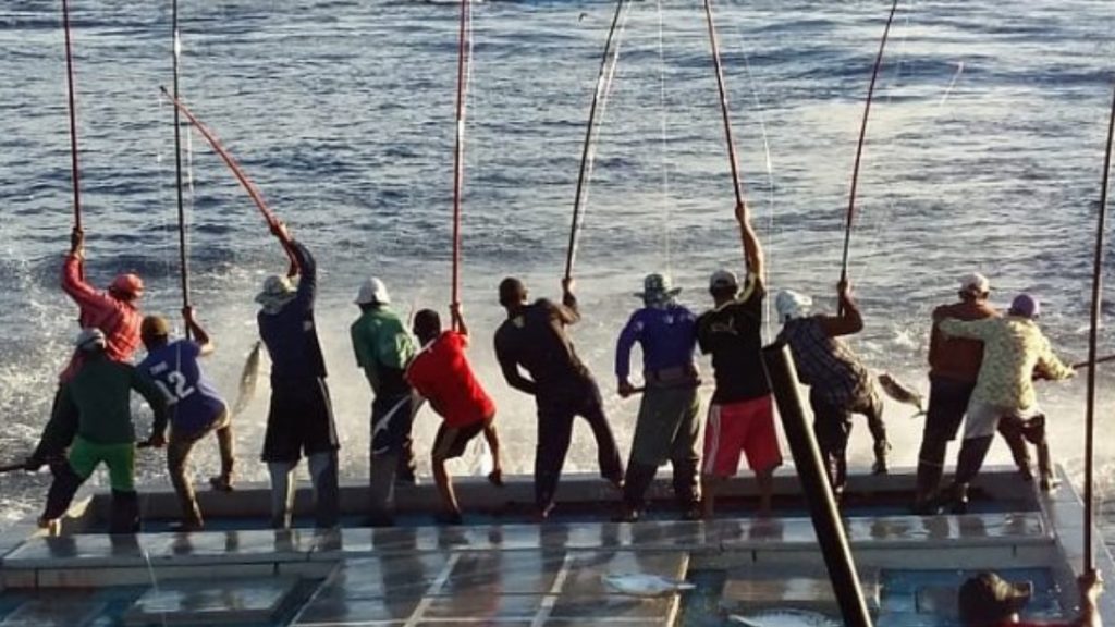 A new era of protection and support begins for Maldives’ tuna