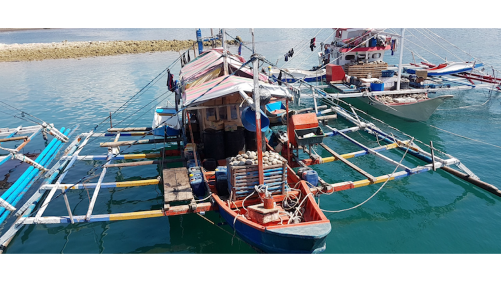 Implementing electronic traceability – the journey of Anova Food USA and the Indonesian handline tuna fishery