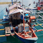 Implementing electronic traceability – the journey of Anova Food USA and the Indonesian handline tuna fishery