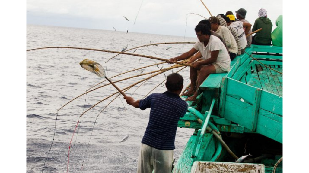 Eight Indonesian one-by-one tuna fisheries embark upon MSC certification