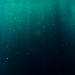 Accelerate action: Region with the world’s largest tuna fisheries needs robust, holistic & inclusive management