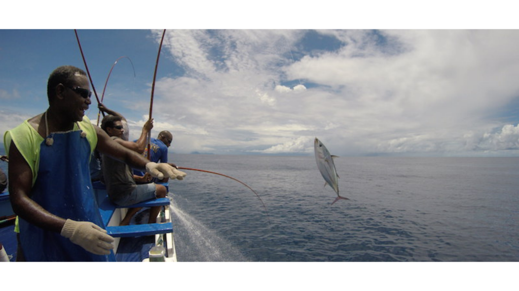 Accelerate action: Region with the world’s largest tuna fisheries needs robust, holistic and inclusive management