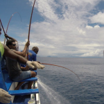 Accelerate action: Region with the world’s largest tuna fisheries needs robust, holistic and inclusive management