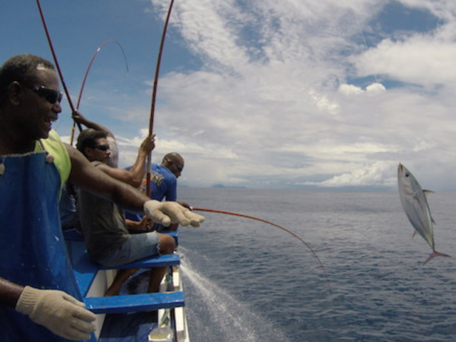 Accelerate action: Region with the world’s largest tuna fisheries needs robust, holistic and inclusive management