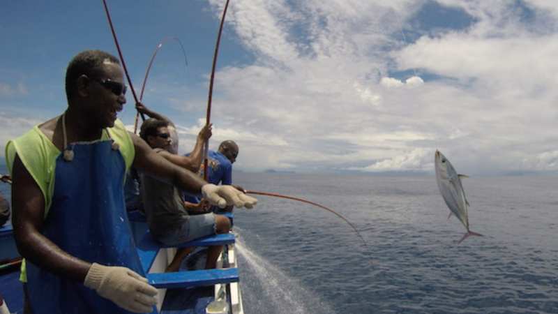 Accelerate action: Region with the world’s largest tuna fisheries needs robust, holistic and inclusive management