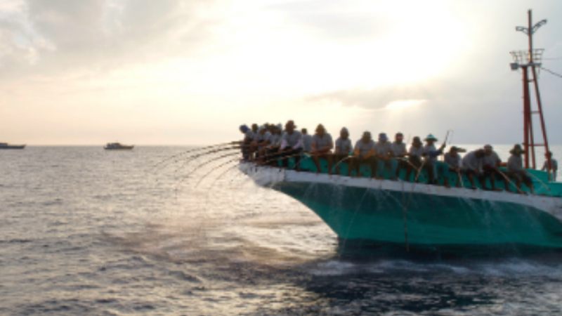 Understanding the benefits of one-by-one tuna fisheries