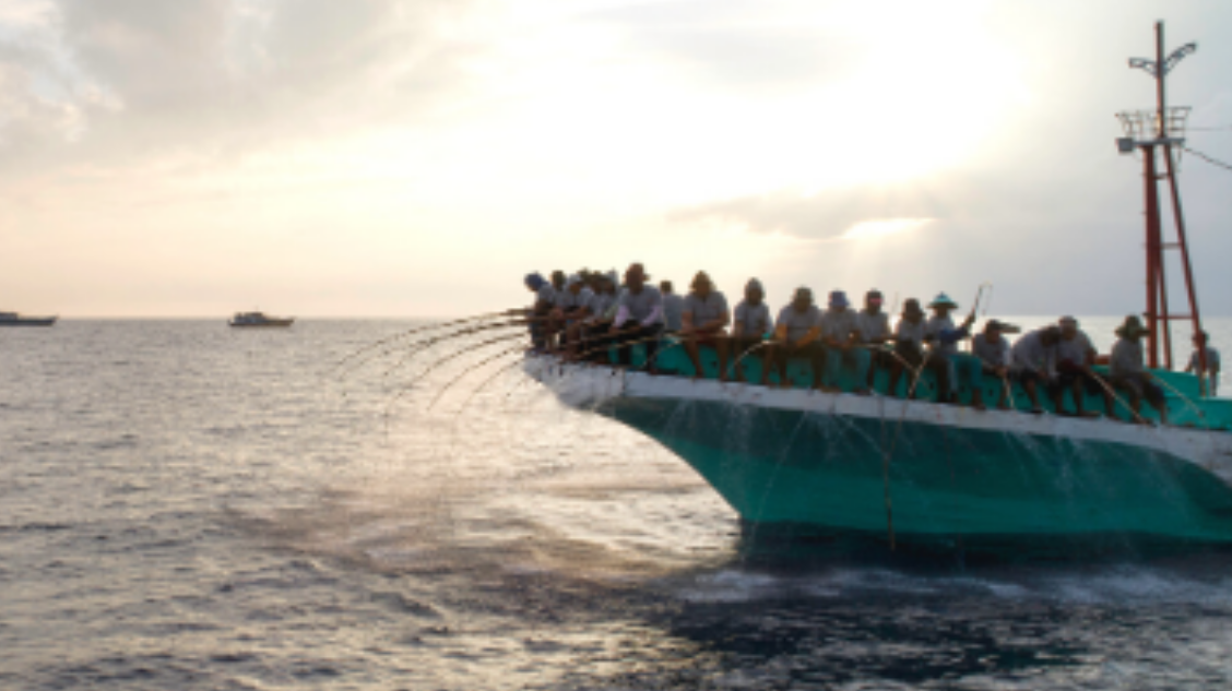 Understanding the benefits of one-by-one tuna fisheries