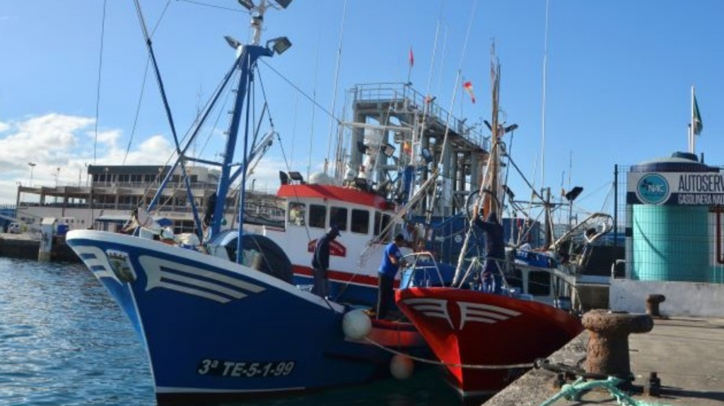 Fishery Showcase: The Canary Islands