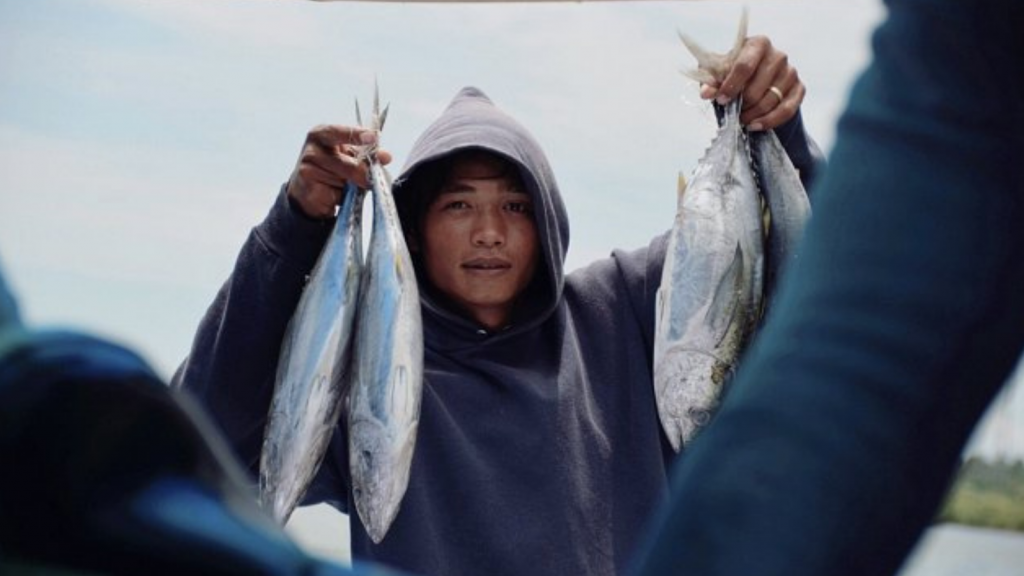 IPNLF applauds harvest control rule for Indian Ocean skipjack tuna stocks