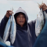 IPNLF applauds harvest control rule for Indian Ocean skipjack tuna stocks