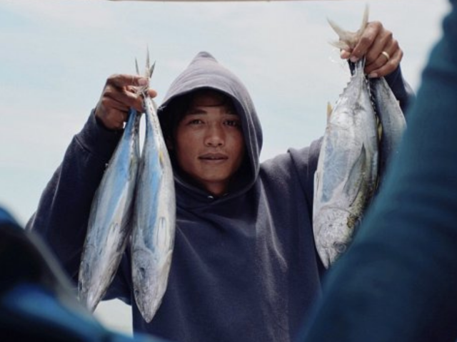 IPNLF applauds harvest control rule for Indian Ocean skipjack tuna stocks