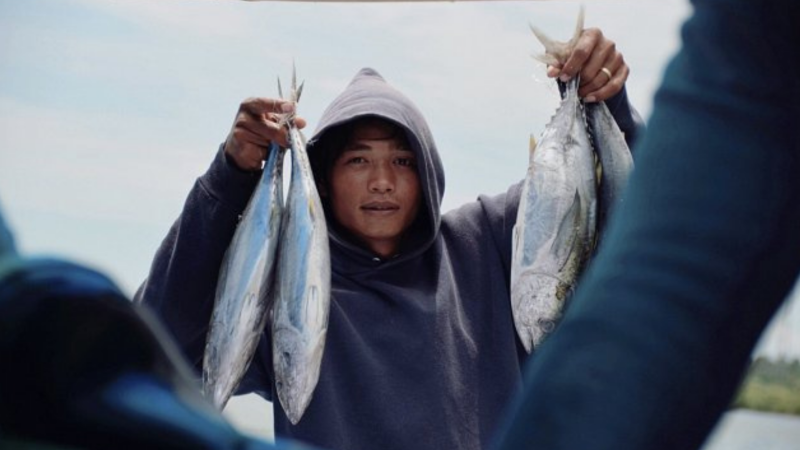 IPNLF applauds harvest control rule for Indian Ocean skipjack tuna stocks