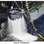 IPNLF position on IOTC Resolution 19/01 – On an interim plan for rebuilding the Indian Ocean yellowfin tuna stock in the IOTC area of competence