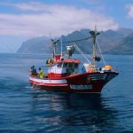 Establishment of CC RUP gives necessary support to small-scale fishers in EU’s outermost regions