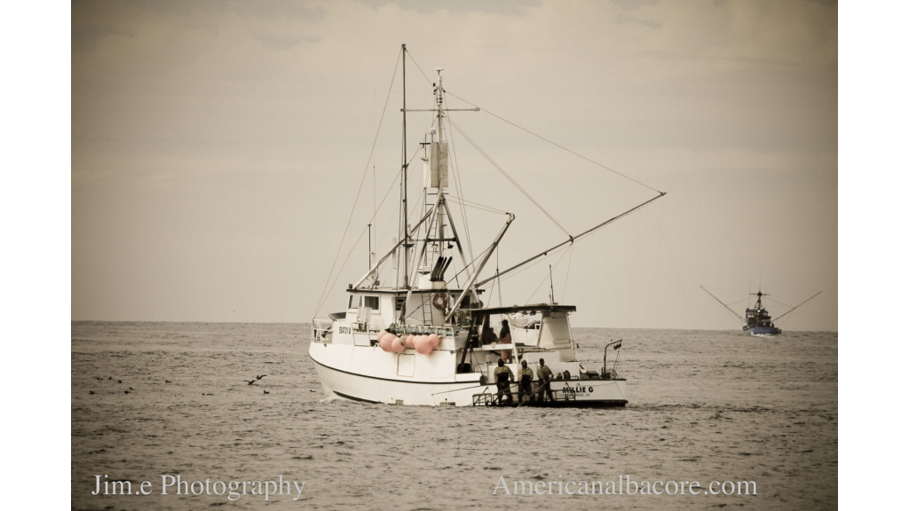 A Day in the Life of an AAFA Fisherman: Ryan Vantress