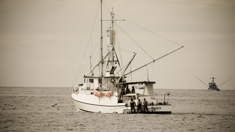 A Day in the Life of an AAFA Fisherman: Ryan Vantress