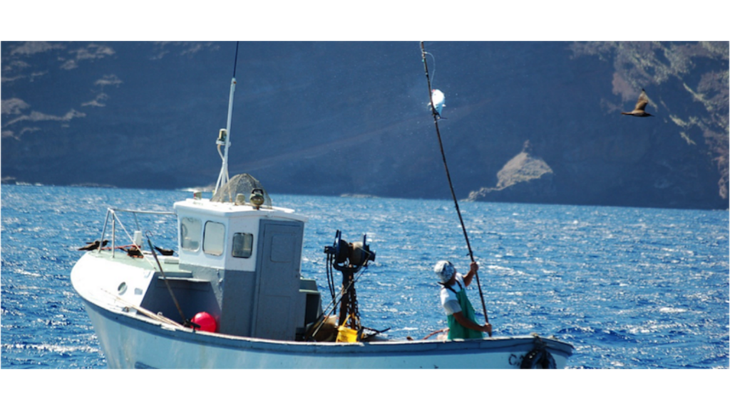 Blue Belt tuna tagging programme underway in St Helena