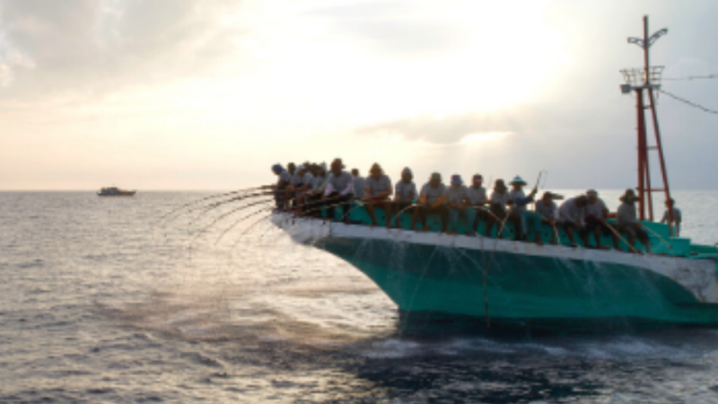 IPNLF extends commitment to equitable and sustainable one-by-one tuna supply chains with key management appointments