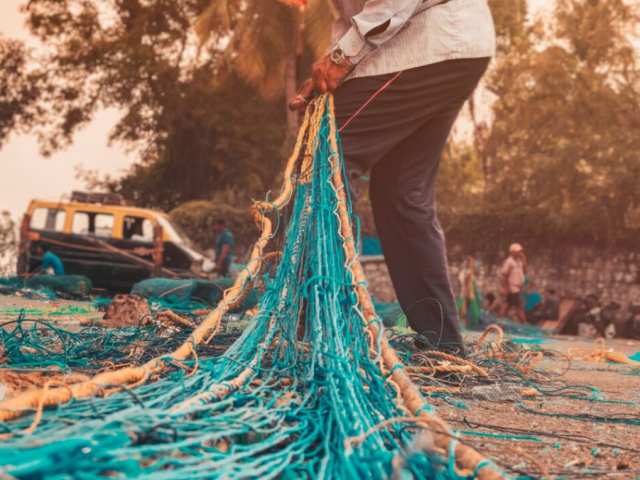 Update: Tackling the threat of fishing gear on marine wildlife