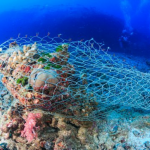 JOINT STATEMENT ON THE CONCLUSION OF THE 25TH SESSION OF THE IOTC