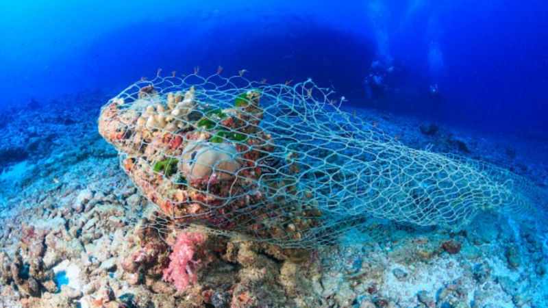 JOINT STATEMENT ON THE CONCLUSION OF THE 25TH SESSION OF THE IOTC