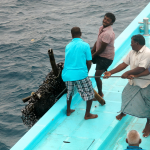 Gemanafushi Ghost Gear