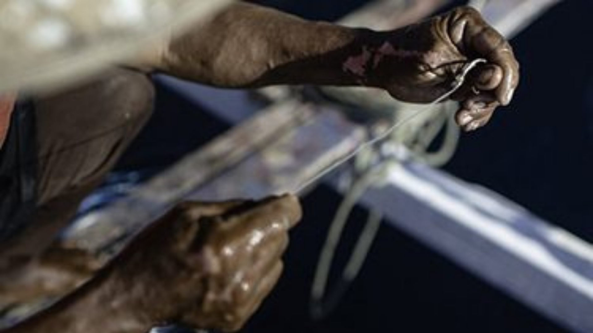 New film: ‘An Indonesian tuna tale: Championing sustainability’