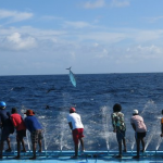 Too Big To Ignore – Small-Scale Fisheries (SSF) Open House