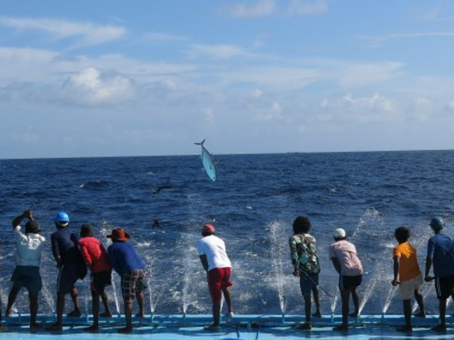 Too Big To Ignore – Small-Scale Fisheries (SSF) Open House