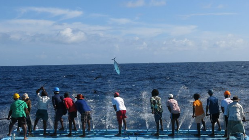 Too Big To Ignore – Small-Scale Fisheries (SSF) Open House