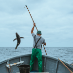 World Tuna Day 2019
