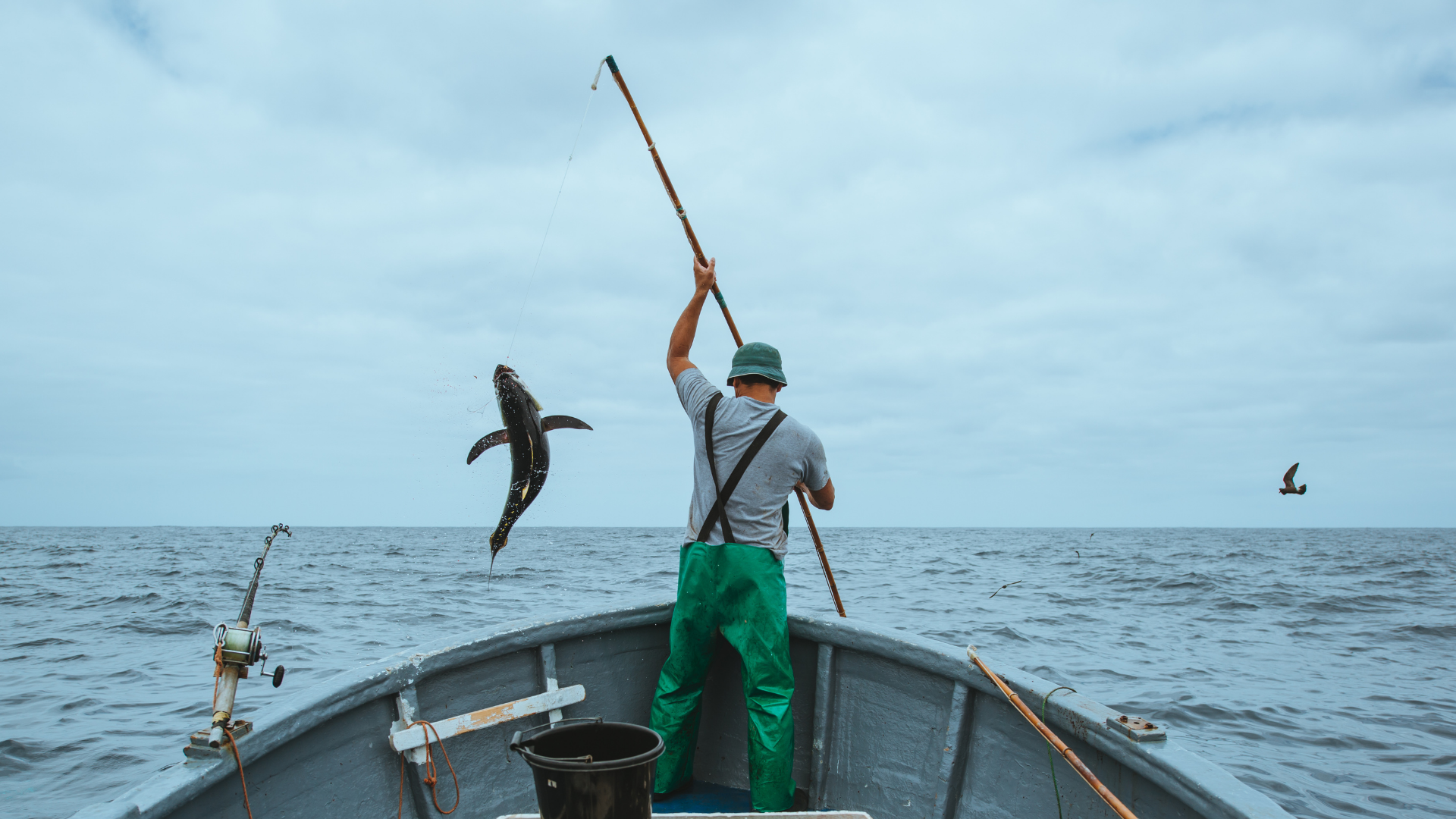 World Tuna Day 2019
