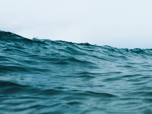 Joint NGO Statement on the urgency of adopting an interim plan for rebuilding the Indian Ocean yellowfin tuna stock