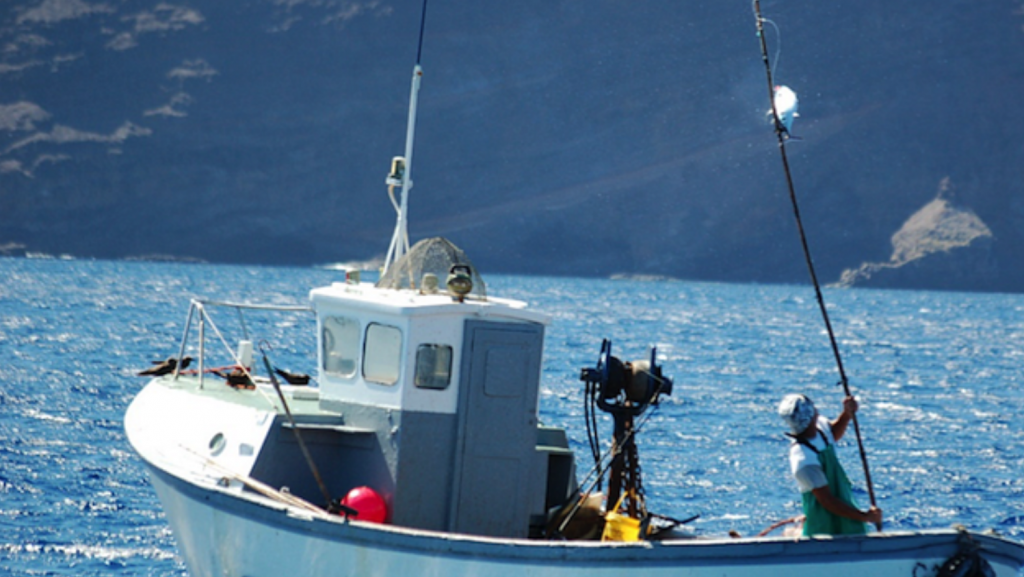 Blue Belt tuna tagging programme underway in St Helena