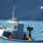 Blue Belt tuna tagging programme underway in St Helena