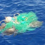 IPNLF to launch Ghost Net Retrieval Project in the Maldives