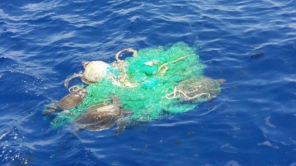 IPNLF to launch Ghost Net Retrieval Project in the Maldives