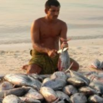 Fishery Showcase: Lakshadweep