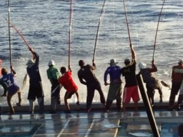 Hear and nurture – why small-scale fisheries should be prioritised in global supply chains