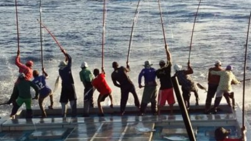 Hear and nurture – why small-scale fisheries should be prioritised in global supply chains