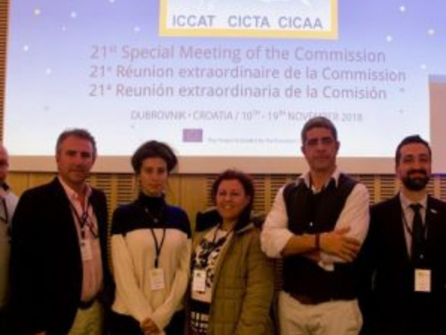 Widespread disappointment from ICCAT: United efforts to rebuild overfished bigeye tuna stock thrown down the drain