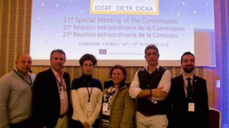 Widespread disappointment from ICCAT: United efforts to rebuild overfished bigeye tuna stock thrown down the drain