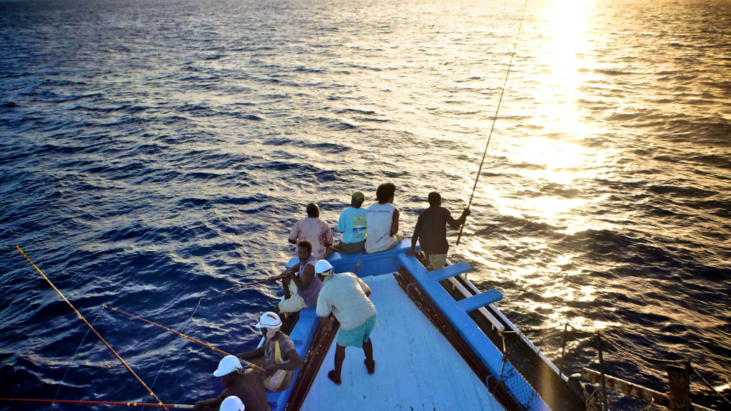 Fishery showcase: Solomon Islands