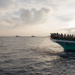 NEW FILM: Building Evidence for Fishery Solutions