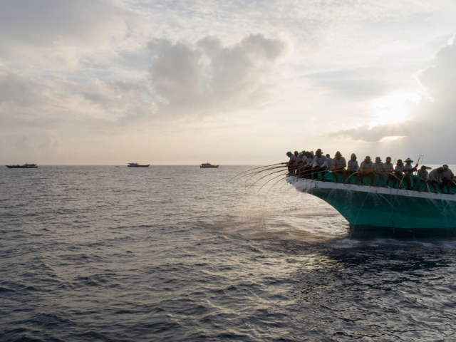 NEW FILM: Building Evidence for Fishery Solutions