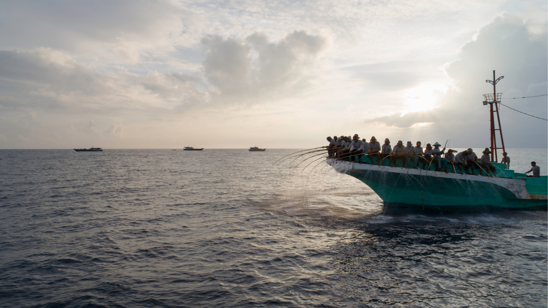 NEW FILM: Building Evidence for Fishery Solutions