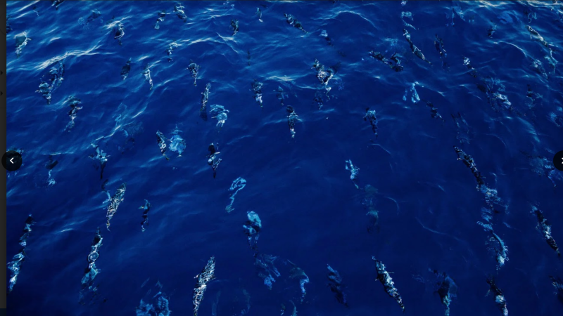 Endorsing the Azores Declaration