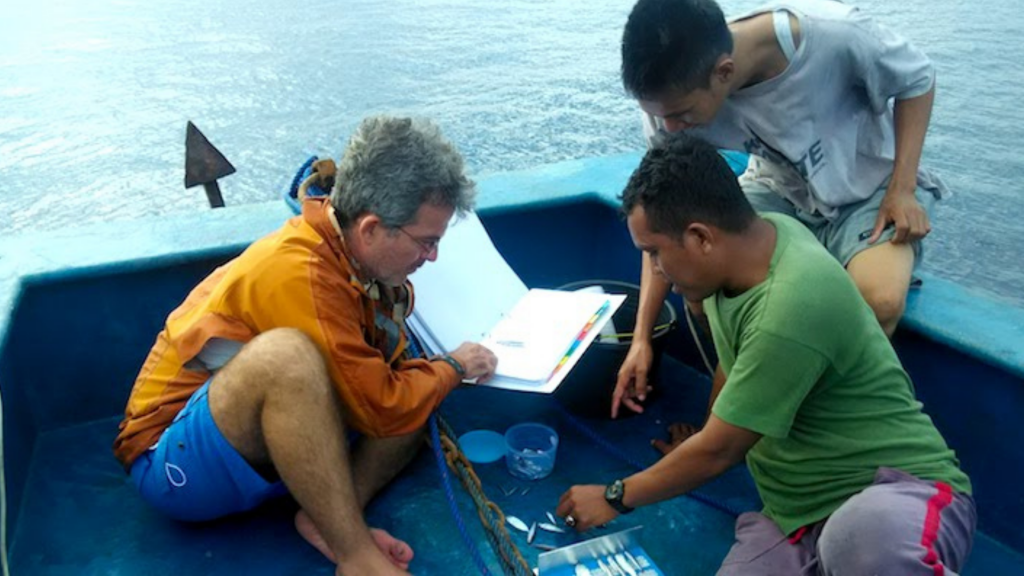 Seeing is believing: implementing new observer protocols in the Indonesian pole-and-line fishery